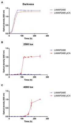 Effect of Light and p-Coumaric Acid on the Growth and Expression of Genes Related to Oxidative Stress in Brettanomyces bruxellensis LAMAP2480